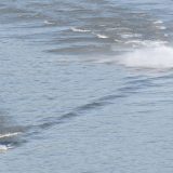 U Srbiji do utorka veoma toplo vreme 15