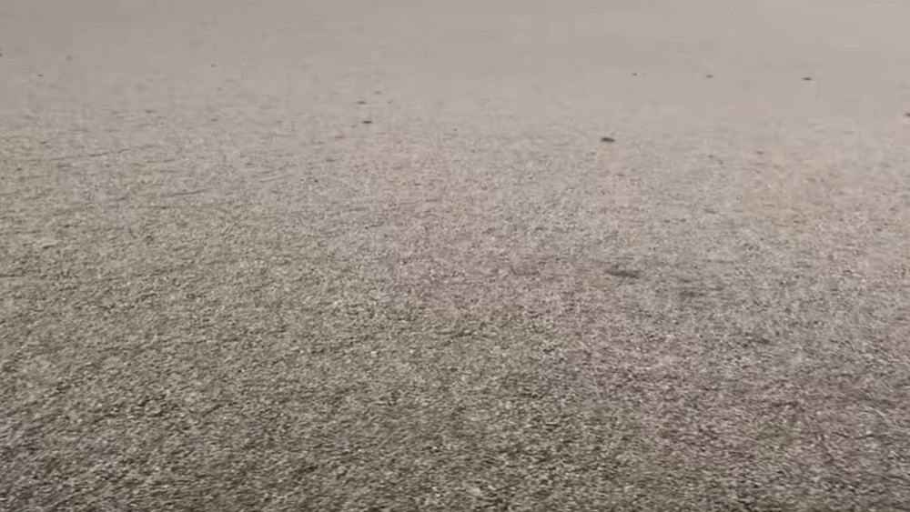 Splav od vulkanskih stena veličine 20.000 igrališta pluta Pacifikom (VIDEO) 1