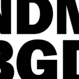 Deklaracija NDB: Ne pristajemo na lažirane izbore 11