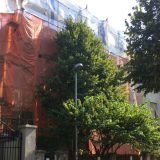 Divlja gradnja pred očima inspekcije 8