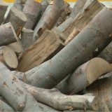 Biomasa pokreće lokalnu privredu i pomaže sredini 6