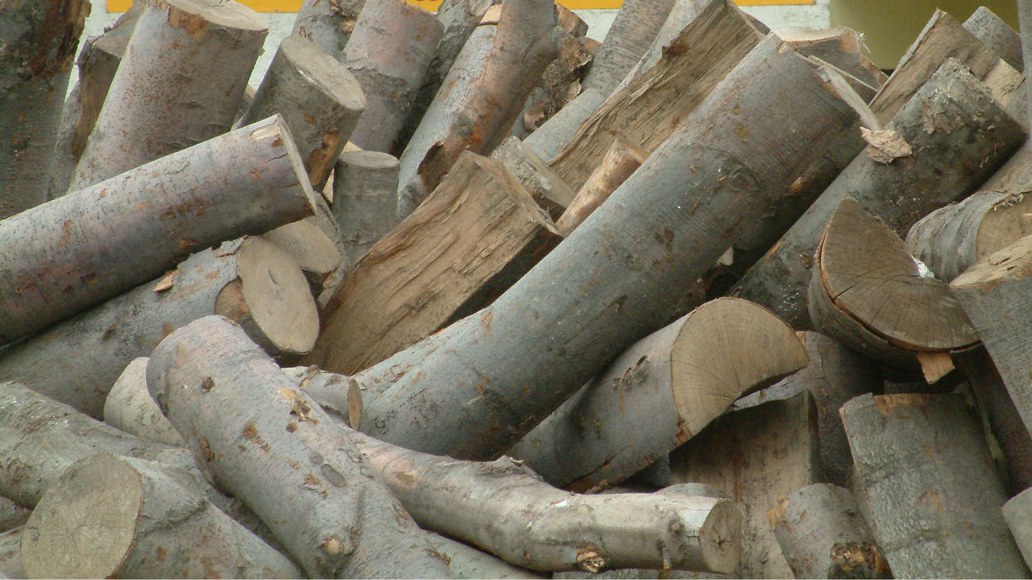 Biomasa pokreće lokalnu privredu i pomaže sredini 1