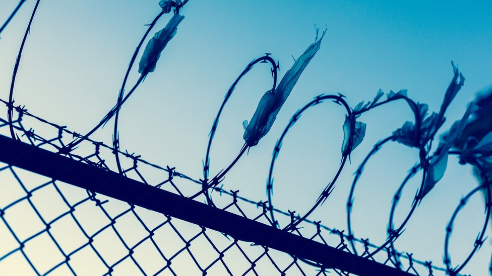 Barbed wire (stock image)