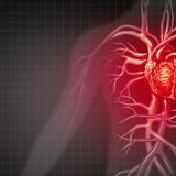 Svetski dan srca: U Srbiji više od 50.000 ljudi godišnje izgubi borbu sa kardiovaskularnim bolestima 10