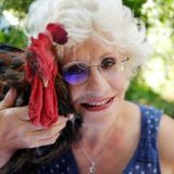 Može da kukuriče koliko hoće - Francuski petao pobedio na sudu 6