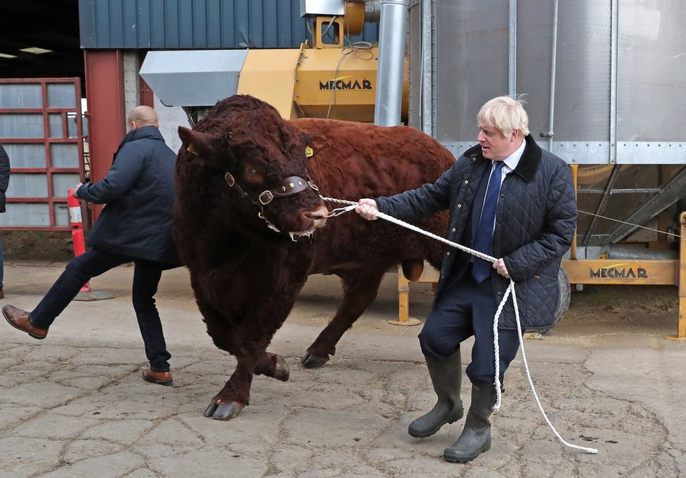 U fotografijama: Dremka u parlamentu i Džonsonova nedelja za zaborav 1 Boris Johnson wrestles with a bull
