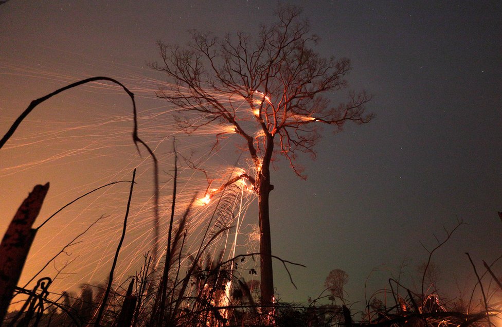 Požari u Amazoniji, protesti i spasavanje migranata - fotografije koje su obeležile nedelju 9 A tract of Amazon rainforest burns as it is cleared by farmers in Rio Pardo, Rondonia in Brazil 15 September 2019.