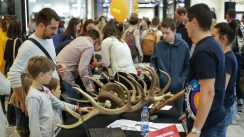 Noć istraživača po 10. put u 29 gradova Srbije (FOTO) 4