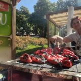 Zaječar: Održano takmičenje u pravljenu ajvara "Izađi mi na teglu" 1