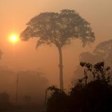 Zašto su požari u Amazoniji najvažniji događaj ovog leta? 3