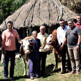 Još samo da Jelići dobiju struju 2