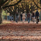 Dočekujemo septembarsku ravnodnevnicu i prvi dan jeseni 3