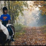 O korupcijama i prevarama na globalnoj kompjuterskoj mreži 13