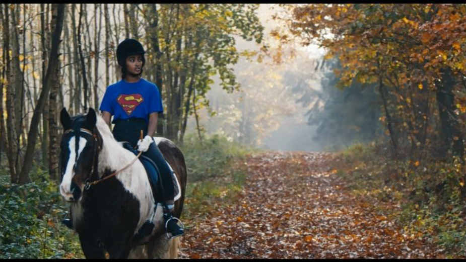 O korupcijama i prevarama na globalnoj kompjuterskoj mreži 1