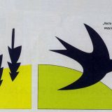 Prodor "Nevidljivog talasa" Dragane Kuprešanin 1