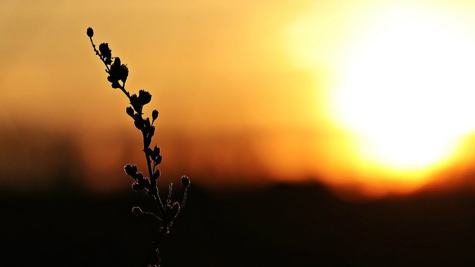 Već vidljive posledice klimatskih promena  1