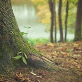 Prijatelji šume: Odbranimo šume Fruške gore, borba na duge staze 14