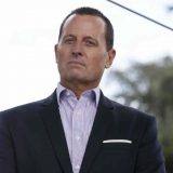 Ričard Grenel: "Mali Tramp" 13