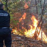 U okolini Vranja vatrogasci rade na lokalizaciji šumskog požara 13