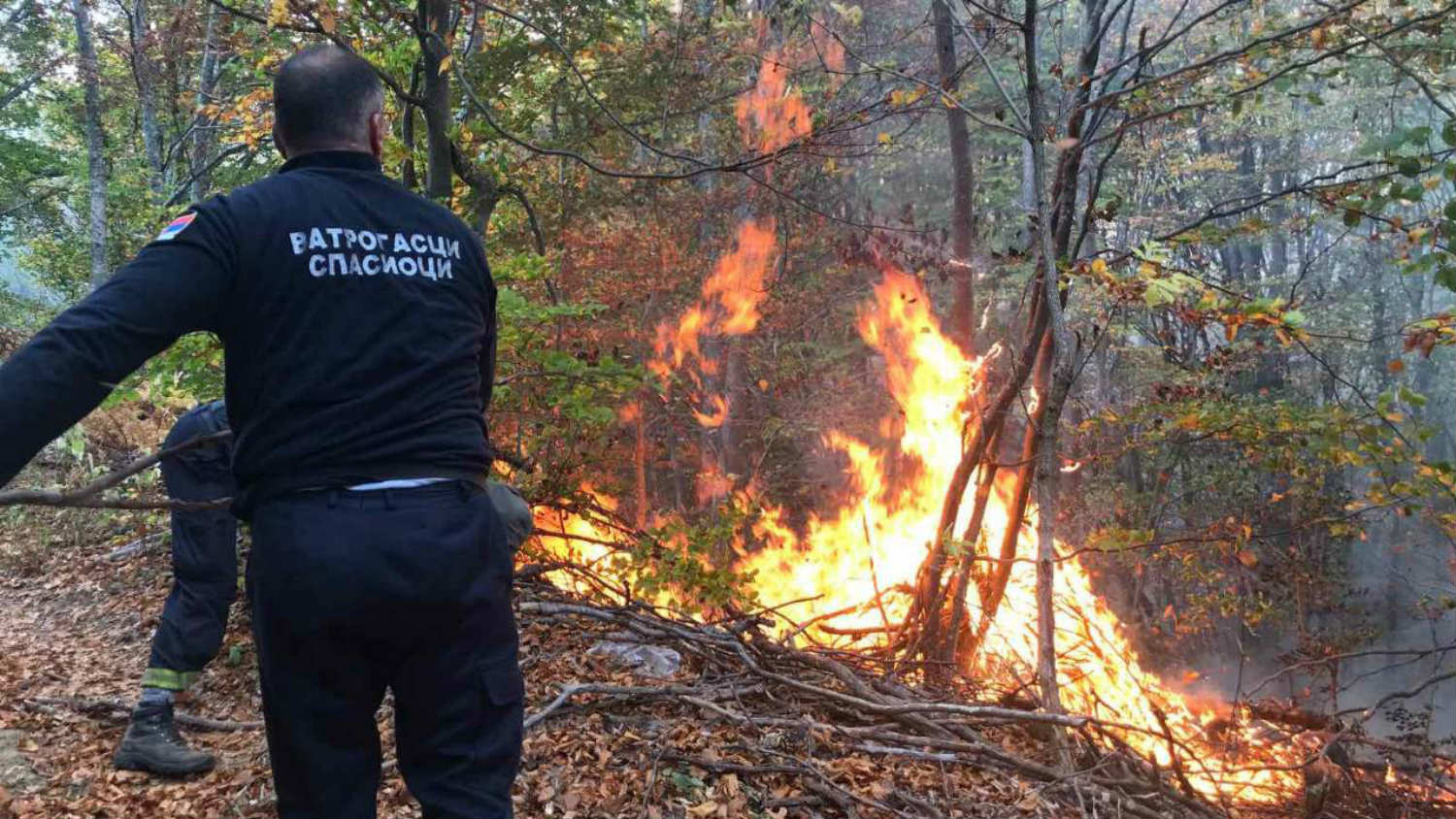 U okolini Vranja vatrogasci rade na lokalizaciji šumskog požara 1