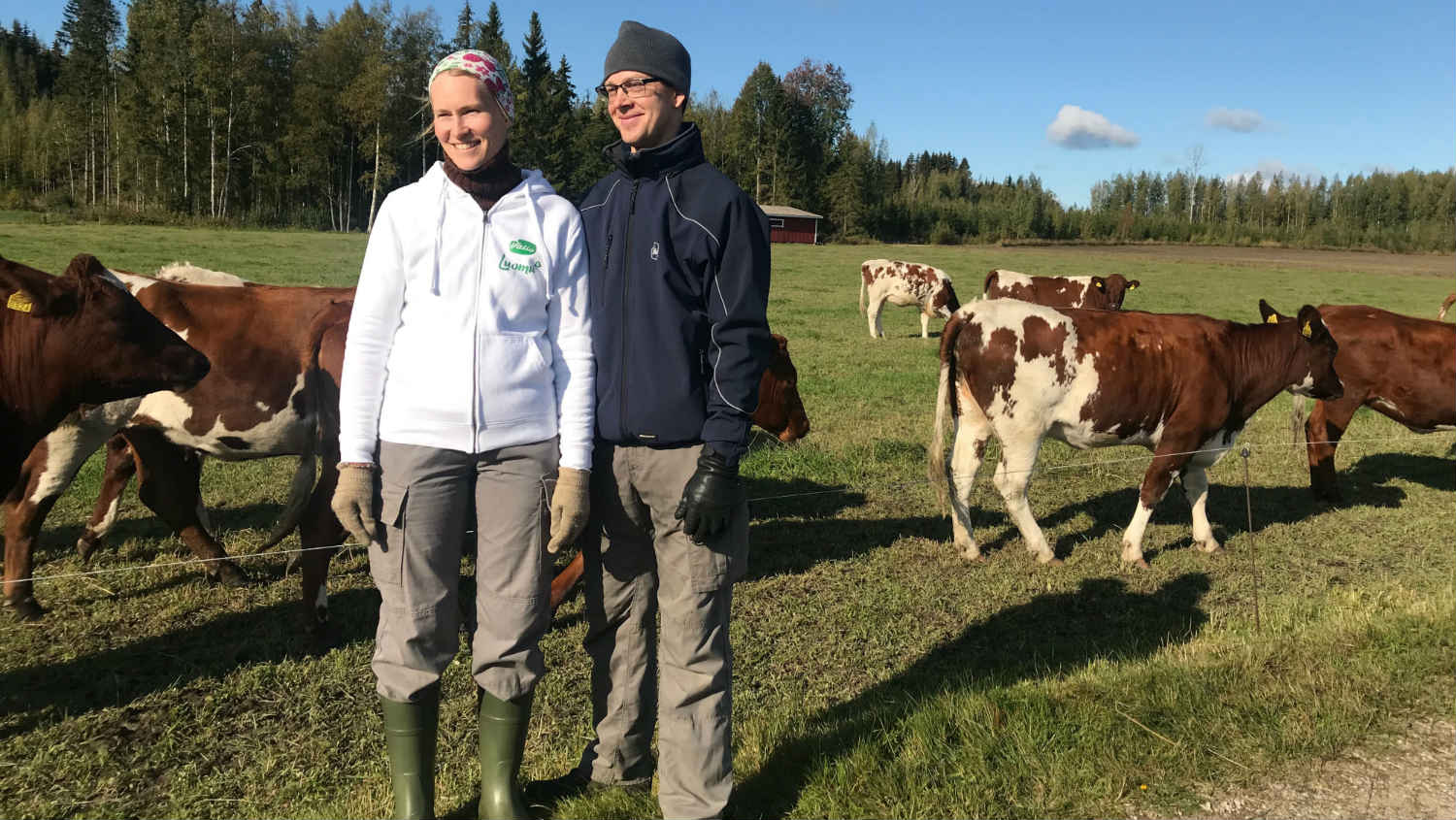 Poljoprivreda u zemlji krajnjeg severa (VIDEO) 1