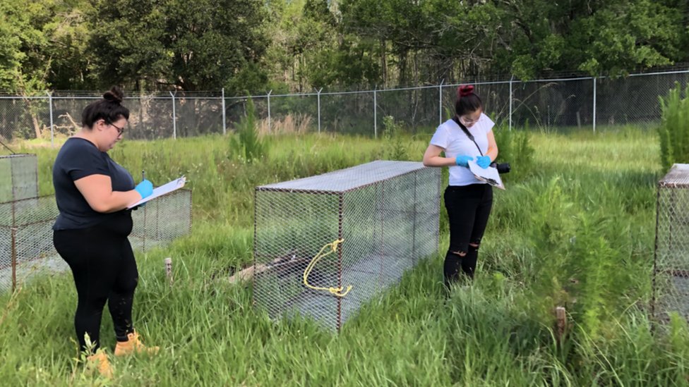 Forenzičari zapisuju i prate promene tokom vremena