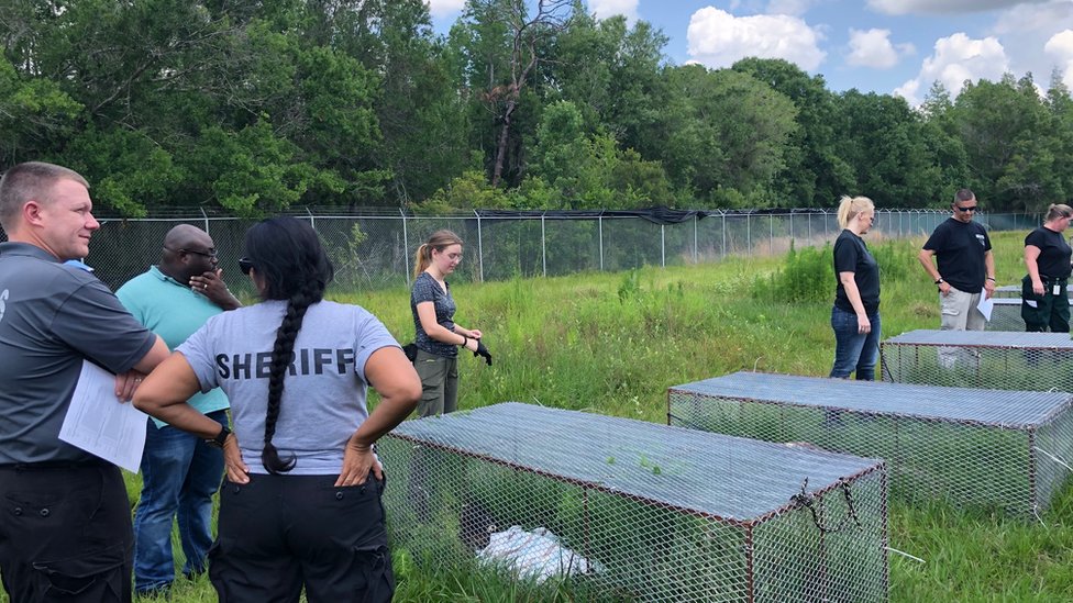 Forenzička groblja služe za prikupljanje informacija o istragama ubistva