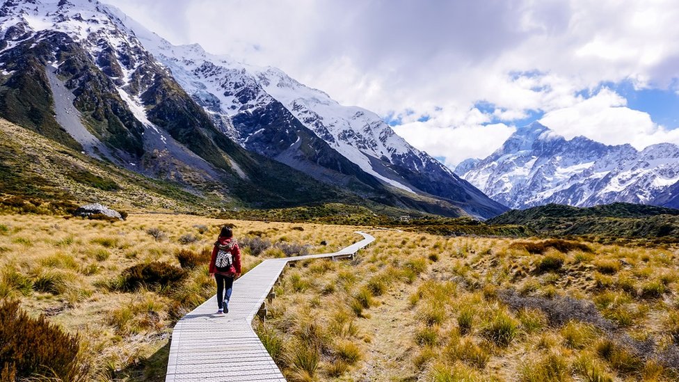 Woman walking through golden meadow on Hooker Valley trail, Mount Cook national park, New Zealand
