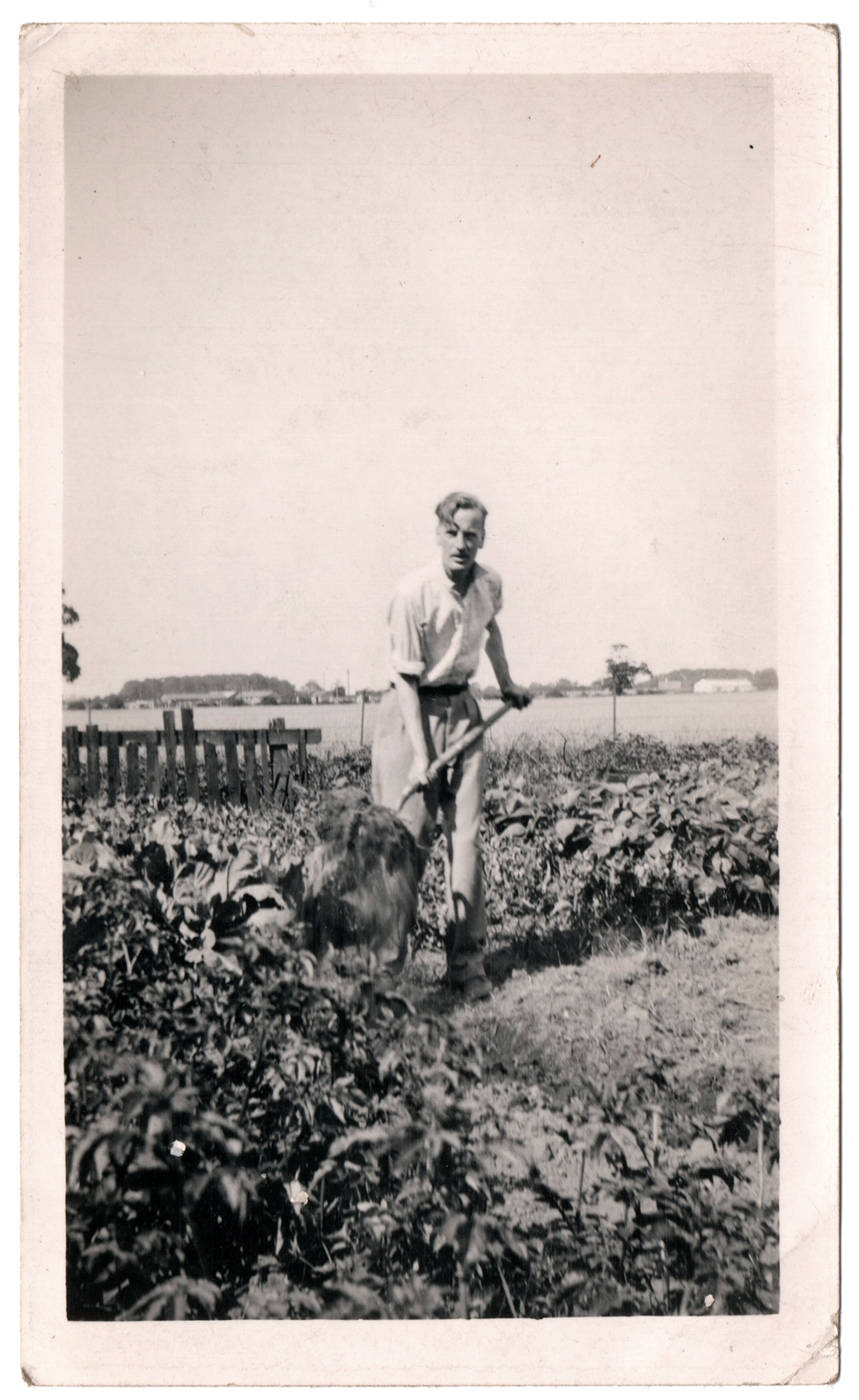 Žerat Selbi, na parceli u Donkasteru u leto 1940