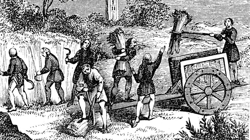 Noć veštica: Nemirni pokojnici - šta znamo o srednjovekovnim zombijima 9 Sbor urožaя