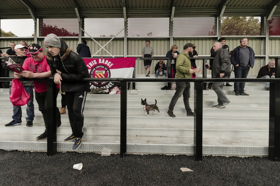 Magija malih terena: Seoski fudbal na britanski način 10 A small dog on the terraces