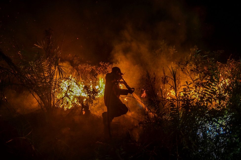 A firefighter battling a forest fire in Pekanbaru, Riau, Indonesia. 6 October 2019.