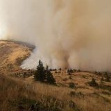 Požari na Staroj planini, Vojvodini i jugu Srbije: „Vatra preti da uništi i spali sve“ 5