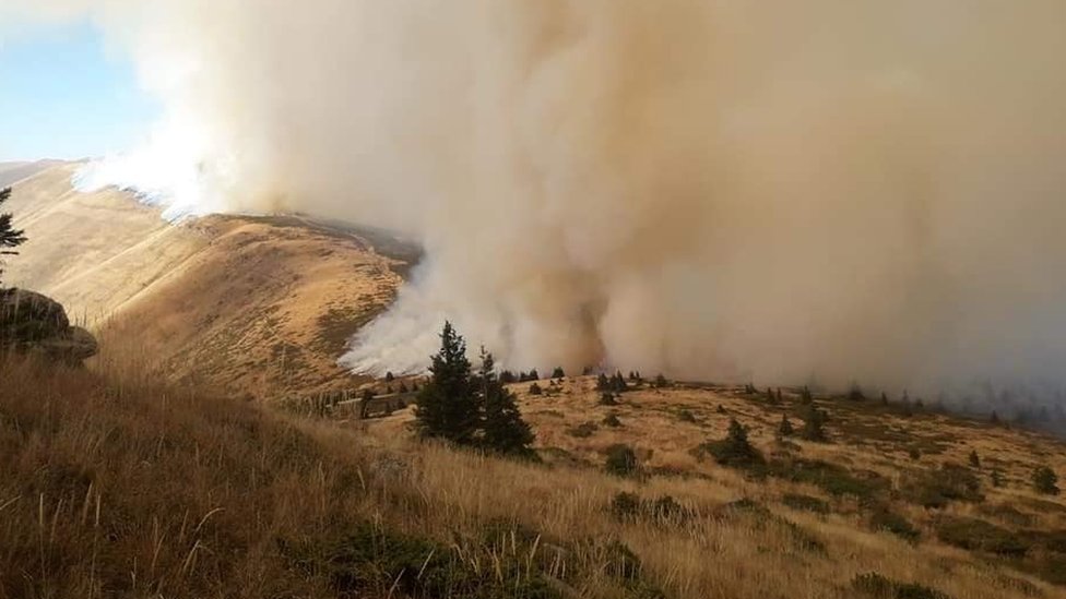 Požari na Staroj planini, Vojvodini i jugu Srbije: „Vatra preti da uništi i spali sve“ 1 požar na Staroj planini