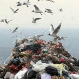 Srbija na deponije baca 60 miliona tona smeća godišnje 4