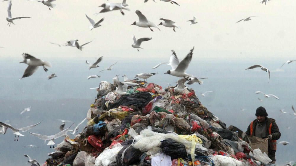 Srbija na deponije baca 60 miliona tona smeća godišnje 1