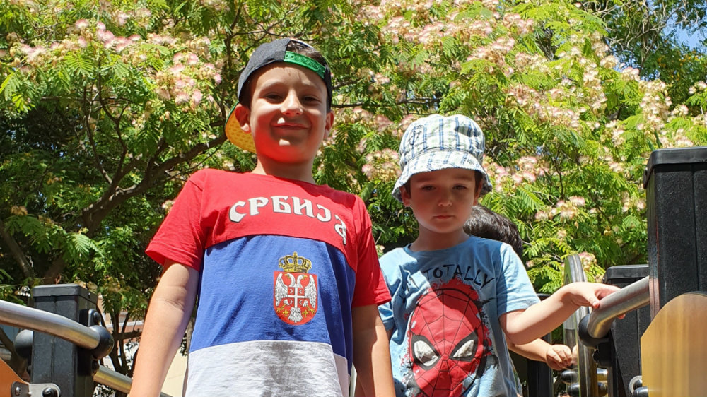 Iako se zareknem da neću čitati vesti iz Srbije, to je jače od mene 4