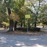 Dovedene pristalice SNS blokirale raspravu u Skupštini 13