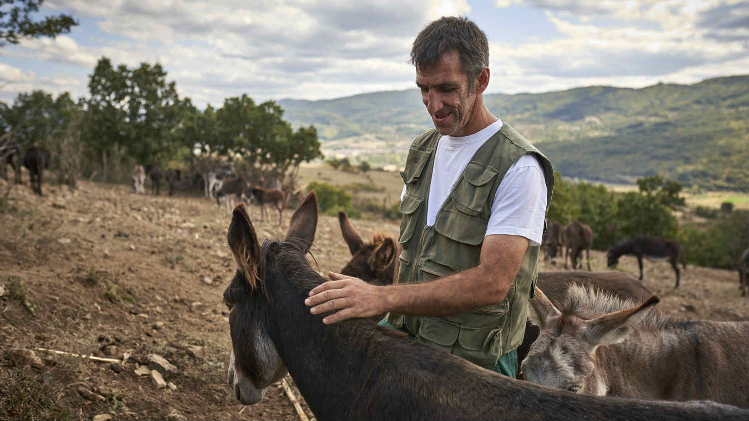 Stare rase životinja kao nova šansa   1