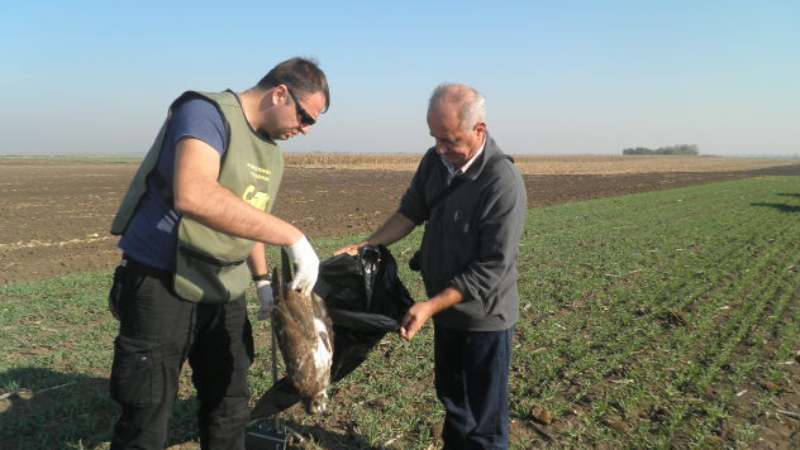 Sprečeno masovno trovanje divljih životinja 1