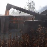 Bulatović: Gde je nestao kukuruz? 4