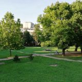 Peticija za očuvanje Poljančeta i Čingrijine 4