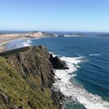 Grupa ribara koja je stigla na Novi Zeland zaražena koronom 10