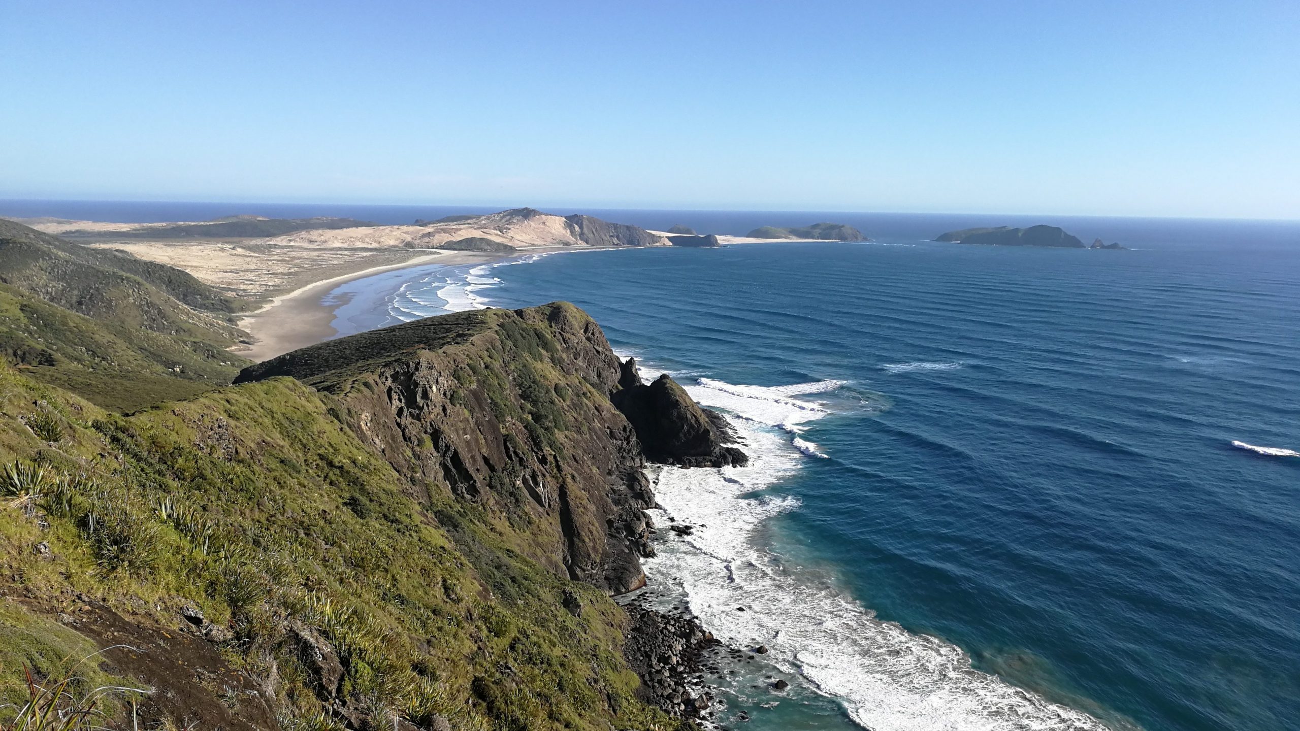 Ostaci tela pronađeni u koferu na Novom Zelandu pripadaju - nepoznatoj deci 1
