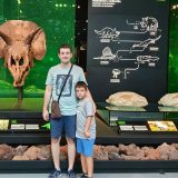 Iako se zareknem da neću čitati vesti iz Srbije, to je jače od mene 12