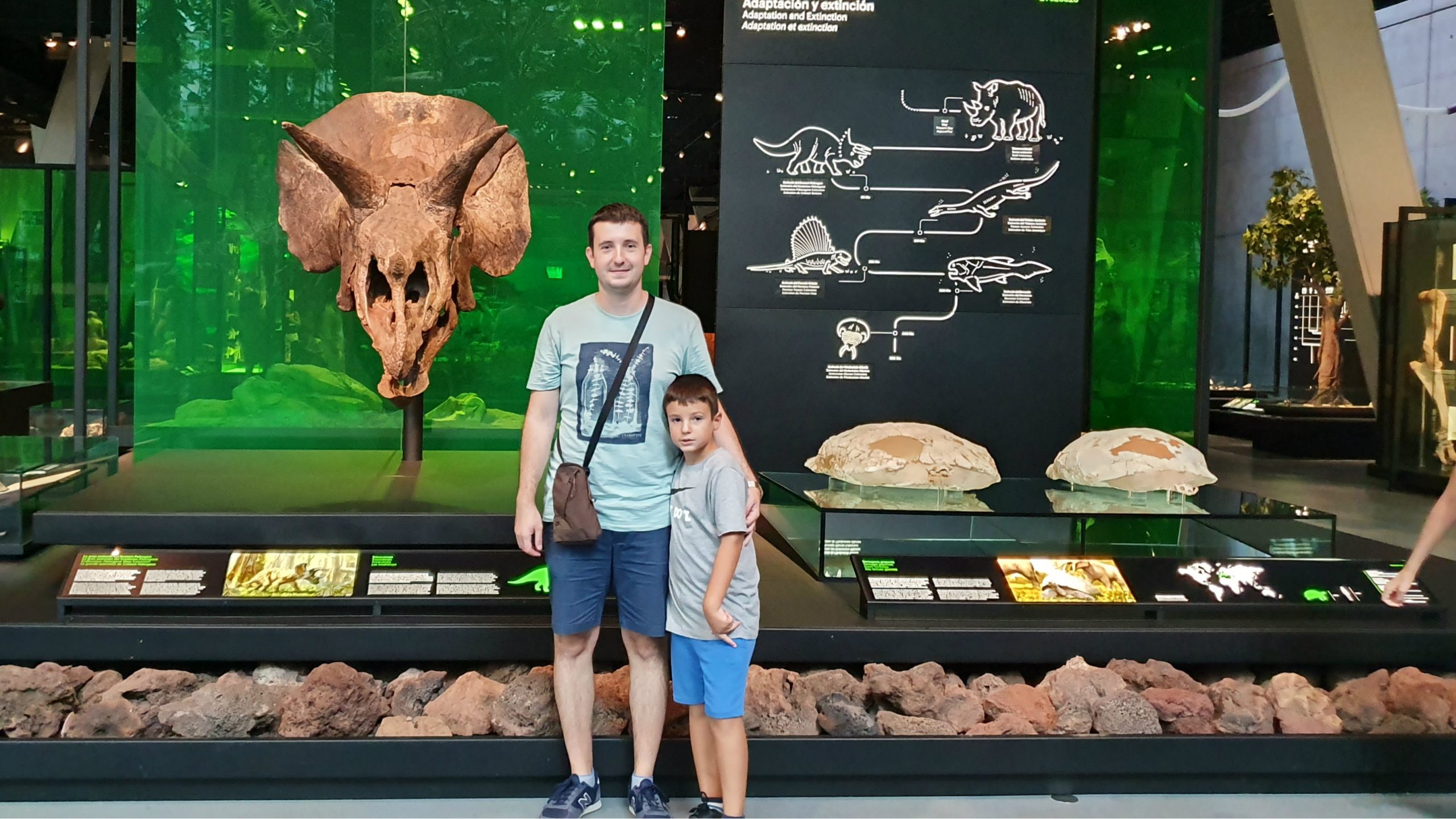 Iako se zareknem da neću čitati vesti iz Srbije, to je jače od mene 1