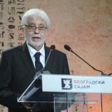 Plastični fikus i borići 5