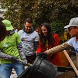 Profesori i studenti Ekonomskog fakulteta zajedno u akciji ozelenjavanja dvorišta 4