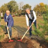 U parku Ušće zasađeno 90 stabala crnog bora povodom 90 godina "Zelenila Beograd" 10