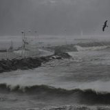 Tajfun Hagibis u Japanu već nosi žrtve (VIDEO) 1